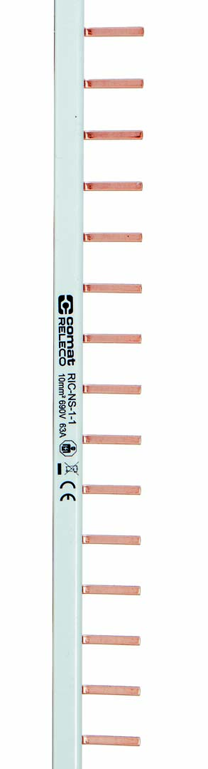 RIC-NS-1-1